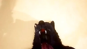 Pov four delighted wolves having it away - wildlife