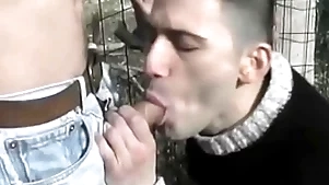 Voluptuous twinks make out together with masturbate back someone's skin fields