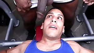 Gaywire - aaron trainer & leo silva bumping uglis regarding the gym