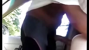 Cavalo engravidando puto